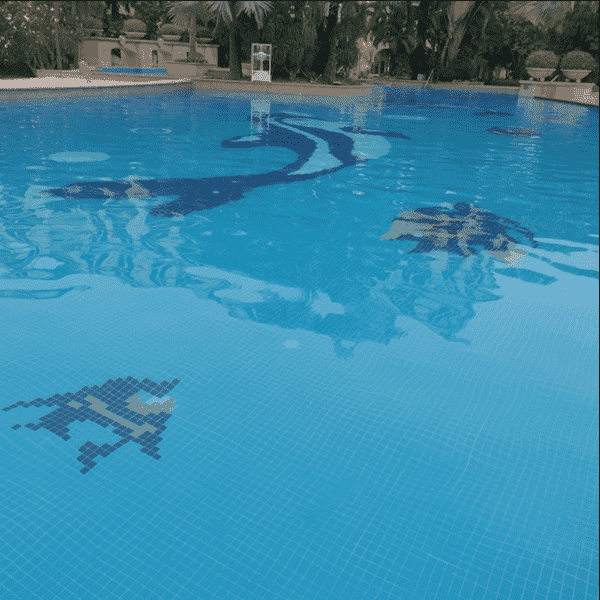 swimming pool 006